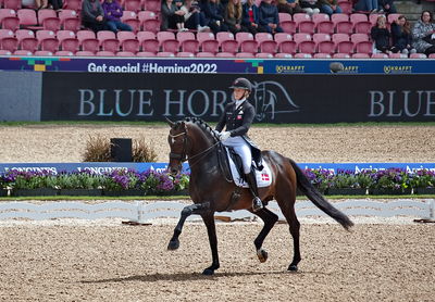 Dressage
grand prix de drassage team championship
Keywords: pt;nanna merrald rasmussen;bh zack