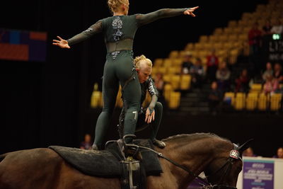 voltering
fei world squad championship final
Keywords: pt;denmark;danmark