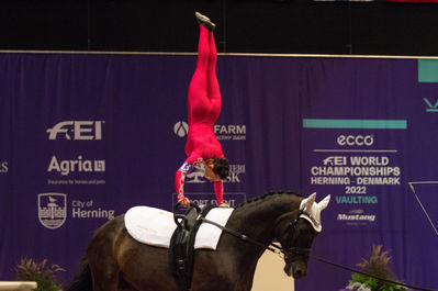 fei world female individual vaulting championship
Keywords: Klintholms Ramstein;Sheena Bendixen;cp