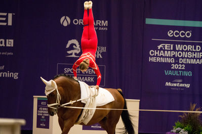 fei world female individual vaulting championship
Keywords: Iben Dines Pedersen;Tophoejs Geleto Lieto;cp