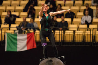 FEI World Vaulting Female Championship
Keywords: Klintholms Ramstein;Sheena Bendixen;cp