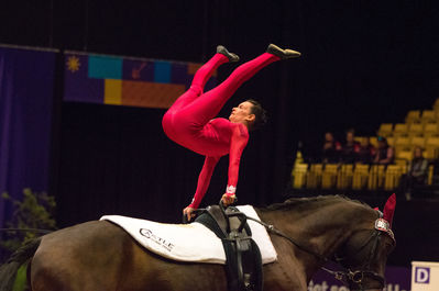 fei world squad vaulting championship
Keywords: cp;denmark