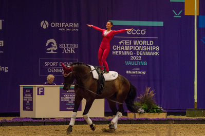 fei world squad vaulting championship
Keywords: cp;denmark