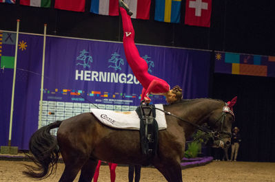 fei world squad vaulting championship
Keywords: cp;denmark