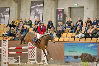 Blue Hors
2 kvl spring
Keywords: rikke haarstup kristensen;cassoulet phm