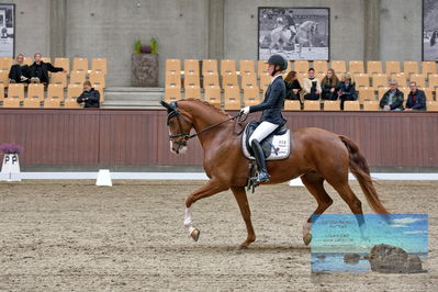 Blue Hors
dressage
Keywords: katrine springborg;springborgs abiza