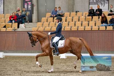 Blue Hors
dressage
Keywords: helena b hansen;lindegaards donkey dancer