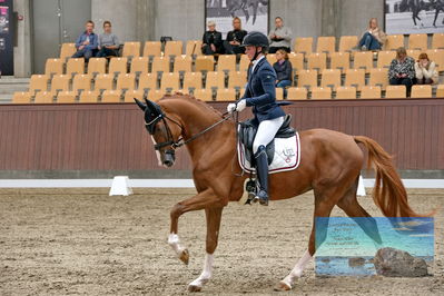 Blue Hors
dressage
Keywords: helena b hansen;lindegaards donkey dancer