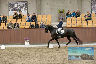 Blue Hors
dressage
Keywords: mette svare ehlers;de st malou e