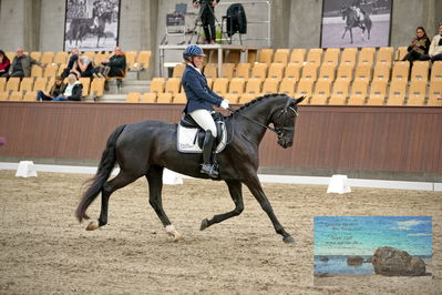 Blue Hors
dressage
Keywords: mette svare ehlers;de st malou e