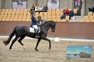 Blue Hors
dressage
Keywords: mette svare ehlers;de st malou e