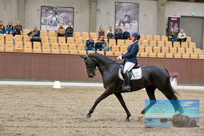 Blue Hors
dressage
Keywords: mette svare ehlers;de st malou e