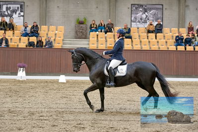 Blue Hors
dressage
Keywords: mette svare ehlers;de st malou e