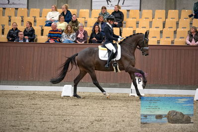 Blue Hors
4 års finale dressur
Keywords: mette sejbjerg jensen;straight horse floriana