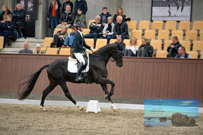 Blue Hors
4 års finale dressur
Keywords: michaela navrsted;freddie