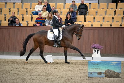 Blue Hors
4 års finale dressur
Keywords: pia thomsen;broadmoars fernando