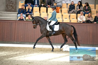 Blue Hors
4 års finale dressur
Keywords: anna zibrandtsen;remember me dwb