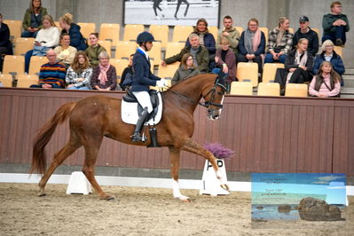 Blue Hors
4 års finale dressur
Keywords: christian tudela ruiz;blue hors bonsai