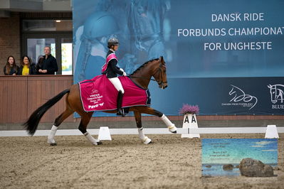 Blue Hors
4 års finale dressur
Keywords: anne-mette strandby hansen;valerie b;lap of honour