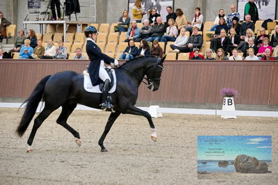 Blue Hors
7 års finale
Keywords: evo schubidoo;anne-marie hosbond