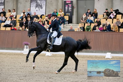 Blue Hors
7 års finale
Keywords: evo schubidoo;anne-marie hosbond