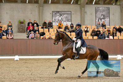 Blue Hors
7 års finale
Keywords: lone bang larsen;poseidon majlund