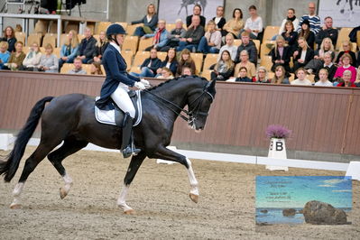 Blue Hors
7 års finale
Keywords: karin nissen;scaglietti v