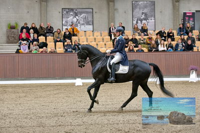 Blue Hors
7 års finale
Keywords: emma ahlberg;logo's gaya