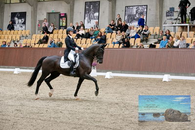 Blue Hors
7 års finale
Keywords: everian l;anna kasparcack