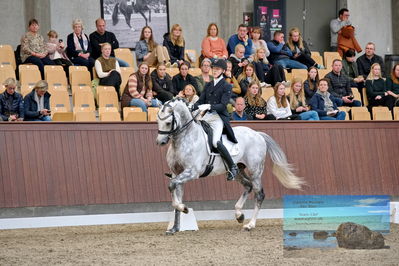 Blue Hors
7 års finale
Keywords: anders uve sjoebeck hoeck;highfive fuglsang