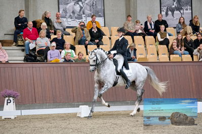 Blue Hors
7 års finale
Keywords: anders uve sjoebeck hoeck;highfive fuglsang