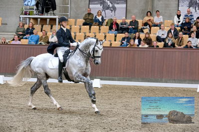 Blue Hors
7 års finale
Keywords: anders uve sjoebeck hoeck;highfive fuglsang