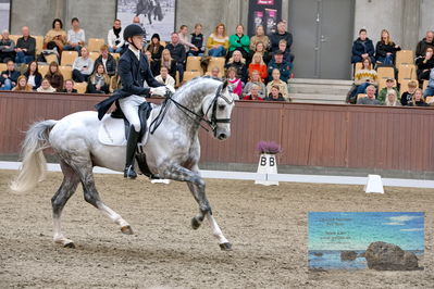 Blue Hors
7 års finale
Keywords: anders uve sjoebeck hoeck;highfive fuglsang