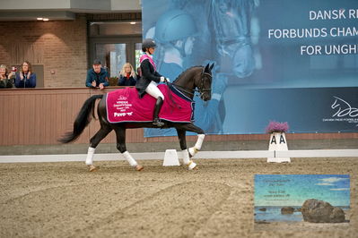 Blue Hors
7 års finale
Keywords: anna kasparcack;everian l;lap of honour