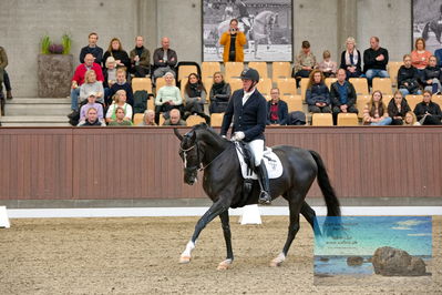 Blue Hors
5 års finale dressur
Keywords: michael soegaard;soebakkehus duffy