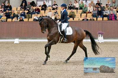 Blue Hors
5 års finale dressur
Keywords: tania joensen;blue hors vento