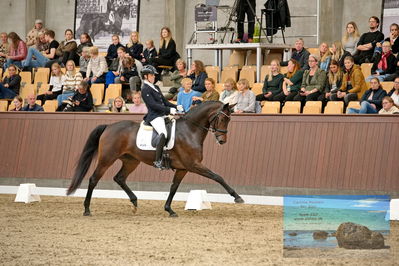 Blue Hors
5 års finale dressur
Keywords: anne-marie hosbond;roxette