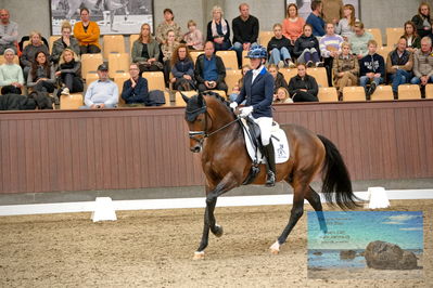 Blue Hors
5 års finale dressur
Keywords: nanna skjold merrald;blue horse monte carlo