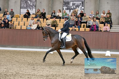 Blue Hors
5 års finale dressur
Keywords: michael groenne christensen;vestermarkens shakira