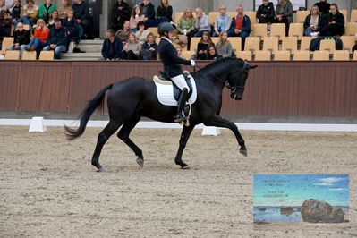 Blue Hors
6 års finale
Keywords: michelle hvid;hoejgaardens  la negro