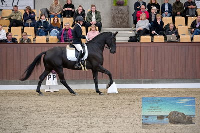 Blue Hors
6 års finale
Keywords: michelle hvid;hoejgaardens  la negro