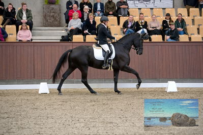 Blue Hors
6 års finale
Keywords: michelle hvid;hoejgaardens  la negro