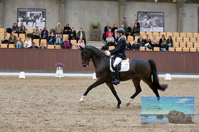 Blue Hors
6 års finale
Keywords: jan moeller christensen;hesselhoej dream