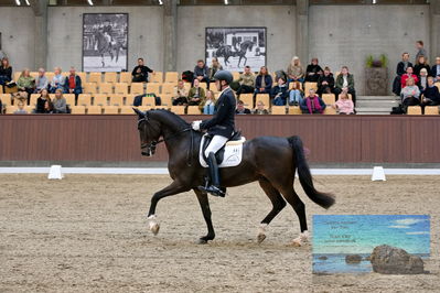 Blue Hors
6 års finale
Keywords: jan moeller christensen;hesselhoej dream