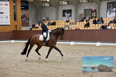 Blue Hors
6 års finale
Keywords: severo jurado lopez;krones kingston