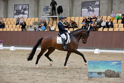 Blue Hors
6 års finale
Keywords: severo jurado lopez;krones kingston