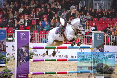 Kingsland CSI3 Medium Tour 140
Keywords: catdaddy;jennifer  fogh pedersen