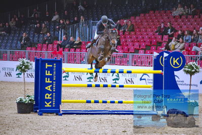 Kingsland CSI3 Medium Tour 140
Keywords: jens fredricson;diarado's rose edith