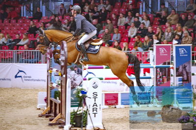 Kingsland CSI3 Medium Tour 140
Keywords: joost martens;iceman elrite