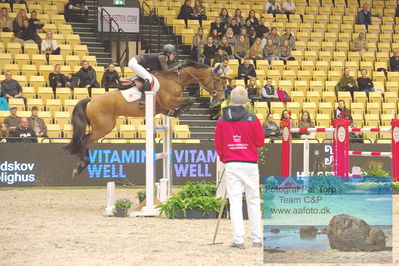 Fendt CSI3 Big Tour LR 150
Keywords: zazou hoffman;bloom du plessis